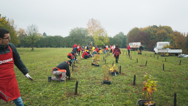 141122 - Torino_Conad_2.16.1.POST.jpg